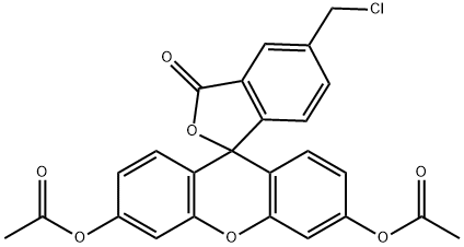 Cellhunt Green CMFDA [5-Chloromethylfluorescein Diacetate]