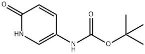 (6-oxo-1,6-dihydro-pyridin-3-yl)-carbamic acid tert-butyl ester