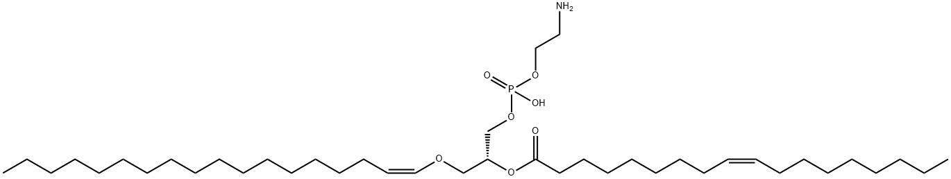 1-(1Z-octadecenyl)-2-oleoyl-sn-glycero-3-phosphoethanolamine