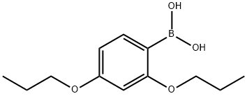 2,4-Dipropoxyphenylboronic acid