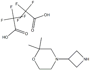 4-(azetidin-3-yl)-2,2-dimethylmorpholine; bis(trifluoroacetic acid)