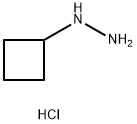 1-Cyclobutylhydrazine, HCl