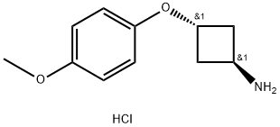 cyclobutanamine, 3-(4-methoxyphenoxy)-, hydrochloride (11), trans-