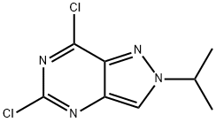 5,7-dichloro-2-(propan-2-yl)-2H-pyrazolo[4,3-d]pyrimidine