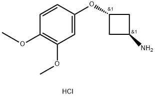 cyclobutanamine, 3-(3,4-dimethoxyphenoxy)-, hydrochloride (11), trans-
