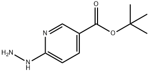 tert-Butyl 6-hydrazinylnicotinate