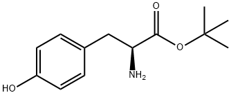 L-Tyrosine tert-butyl ester