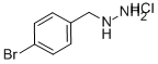 [(4-bromophenyl)methyl]hydrazine hydrochloride