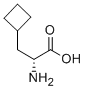 (R)-2-Amino-3-cyclobutylpropanoic acid