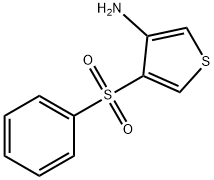 4-(Phenylsulfonyl)thien-3-ylamine