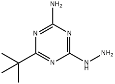4-(tert-Butyl)-6-hydrazinyl-1,3,5-triazin-2-amine