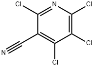 2,4,5,6-TETRACHLORONICOTINONITRILE