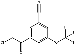 1803775-13-4