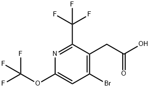 1804446-22-7