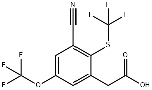 1804460-49-8