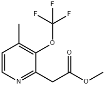 1804503-95-4