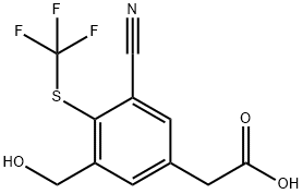 1804510-31-3