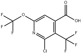 1804558-11-9