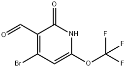1804563-81-2