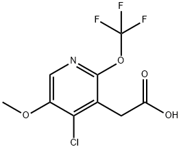1804591-49-8