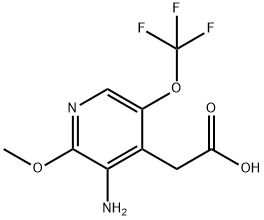 1804602-24-1