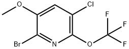 1804605-55-7