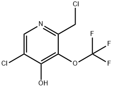 1804653-36-8