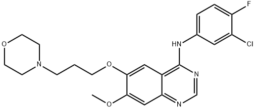 Gefitinib (ZD1839)