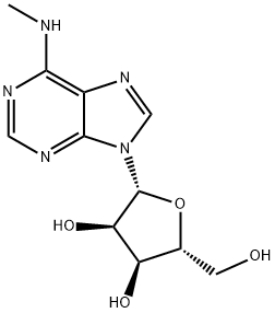 N6-Methyladenosine