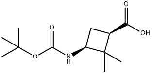 cis-3-(Boc-amino)-2,2-dimethylcyclobutanecarboxylic acid