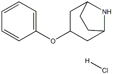 1955540-15-4