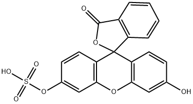 197777-71-2