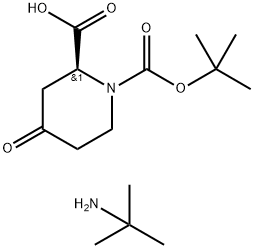 198646-61-6