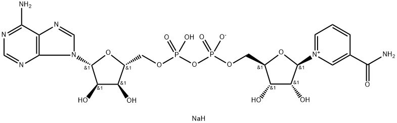β-Nicotinamide adenine dinucleotide sodium salt