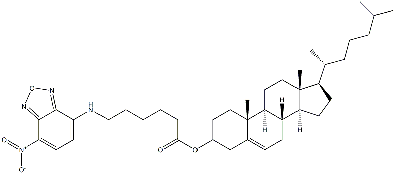 5-cholesten-3β-ol 6-[(7-nitro-2-1,3-benzoxadiazol-4-yl)amino]caproate