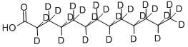 202529-03-1