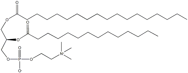 1-stearoyl-2-myristoyl-sn-glycero-3-phosphocholine
