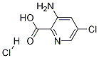 3-amino-5-chloropyridine-2-carboxylic acid hydrochloride
