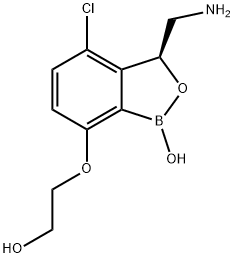 2131798-12-2