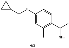2206609-13-2