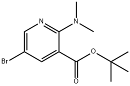 2206609-32-5