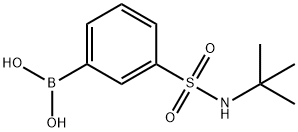t-Butyl 3-boronobenzenesulfonamide