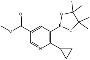 2223041-01-6