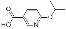 6-Isopropoxynicotinic acid