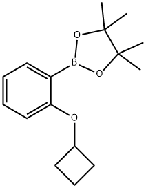 2246630-17-9