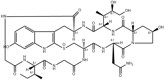 α-Amanitin