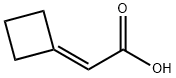 2-cyclobutylideneacetic acid