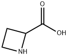 azetidine-2-carboxylic acid
