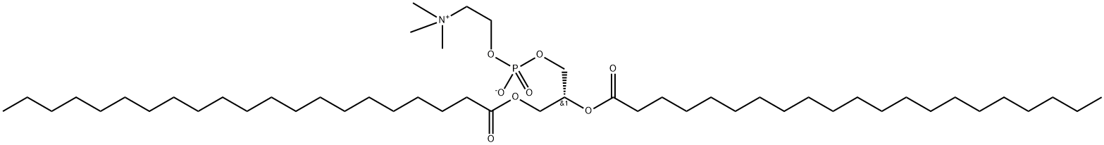 1,2-dihenarachidoyl-sn-glycero-3-phosphocholine