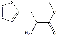294887-34-6